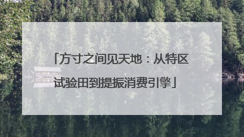 方寸之间见天地：从特区试验田到提振消费引擎